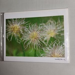 Korbin Berg Mount Horeb, WI Fine Art Photographer/Nature Print